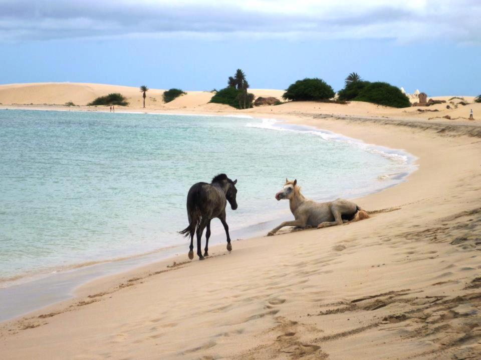 Vilas Praia De Chaves - Sol Y Mar Standart Rabil Extérieur photo